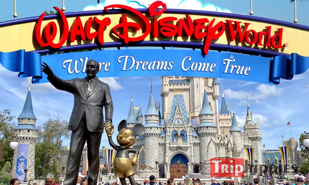 All About Walt Disney World Theme Park -Rides $ Water Park