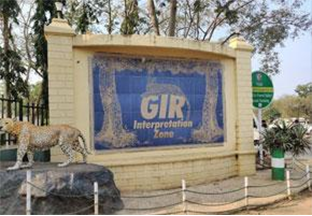 Gir National Park, Gujarat