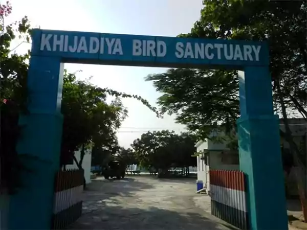 Khijadiya Bird Sanctuary, Gujarat