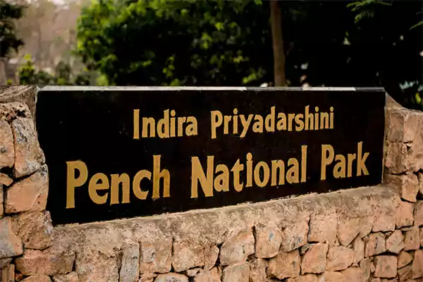 Pench National Park, Madhya Pradesh