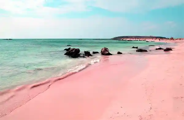 30 Gorgeous Pink Sand Beaches Around the World (List of 2024)